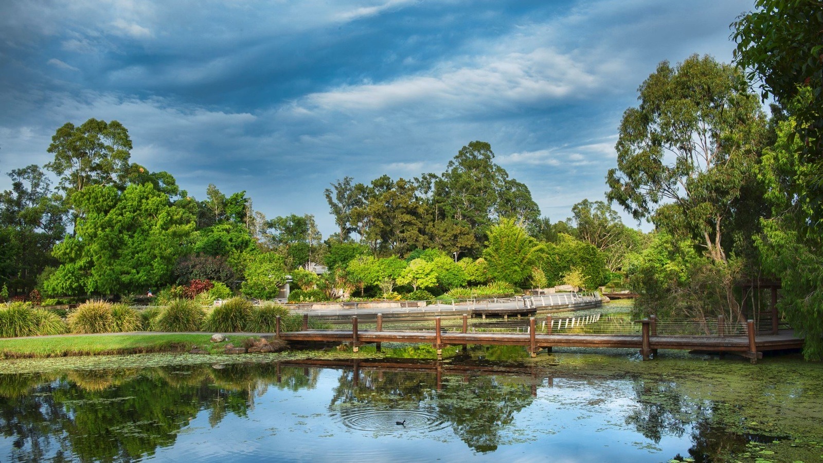Gold Coast Regional Botanical Gardens